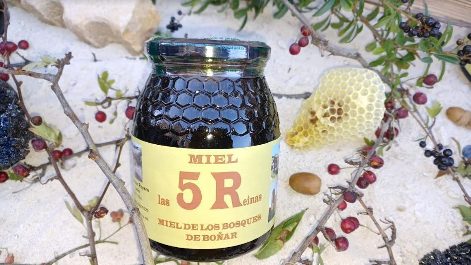 Miel de bosque con brezo 2023 de Las 5 Reinas