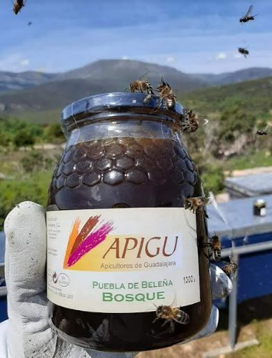 Miel de bosque 2023 de Apicultores de Guadalajara S.L.