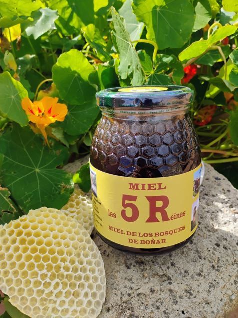 Miel de bosque 2024 de Miel Las 5 Reinas