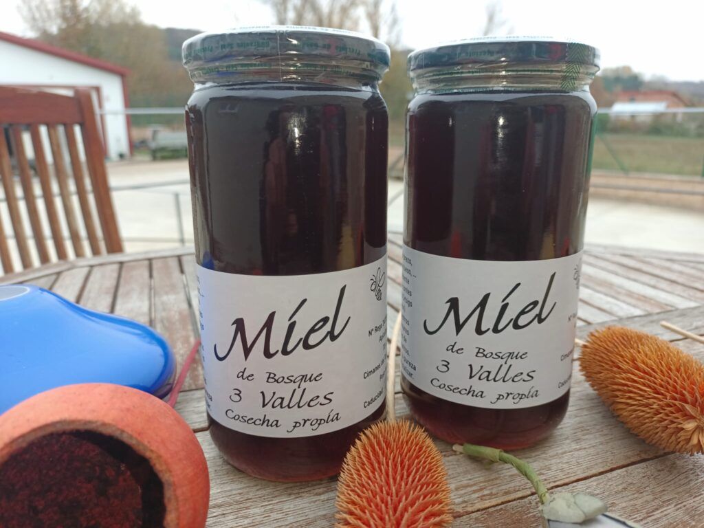 Miel de bosque 2024 de Miel 3 Valles