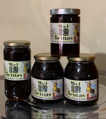 Miel de bosque 2024 de Miel 12 Reinas