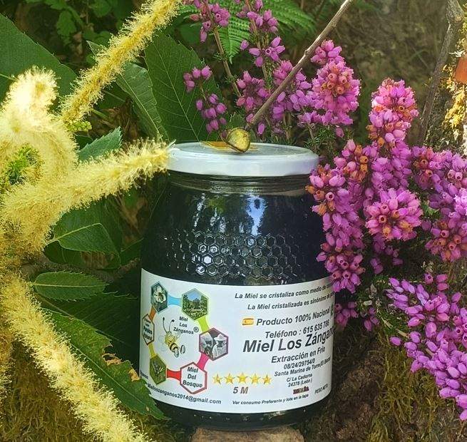 Miel de bosque 2024 de Miel Los Zánganos