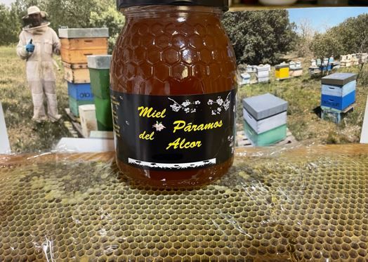 Miel de bosque 2024 de Miel Páramos del Alcor