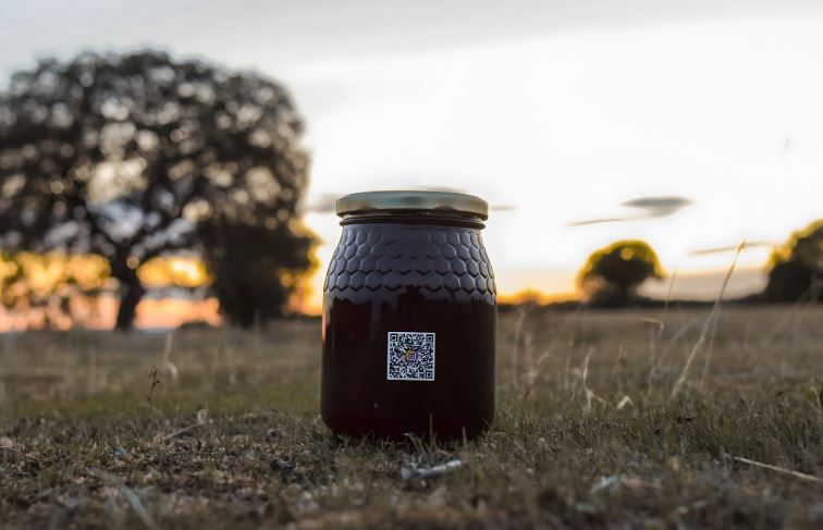 Miel de bosque 2024 de Miel de Coyanza