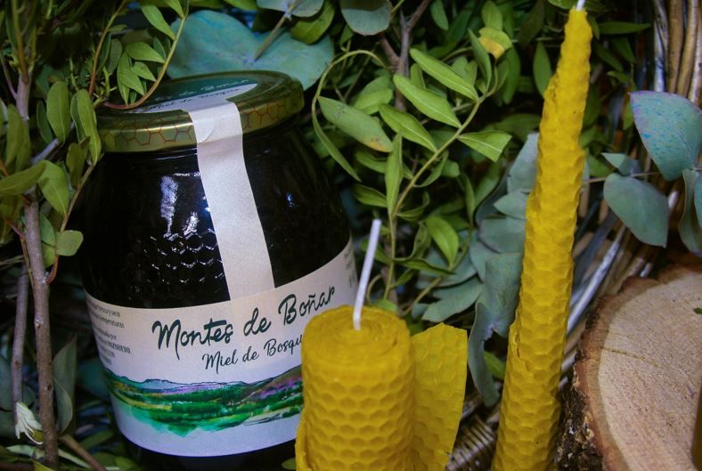 Miel de bosque 2024 de Miel Montes de Boñar
