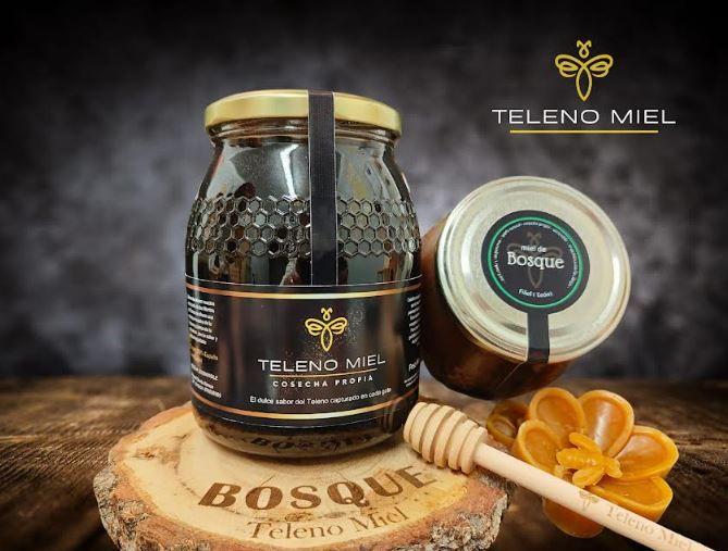Miel de bosque 2024 de Teleno Miel