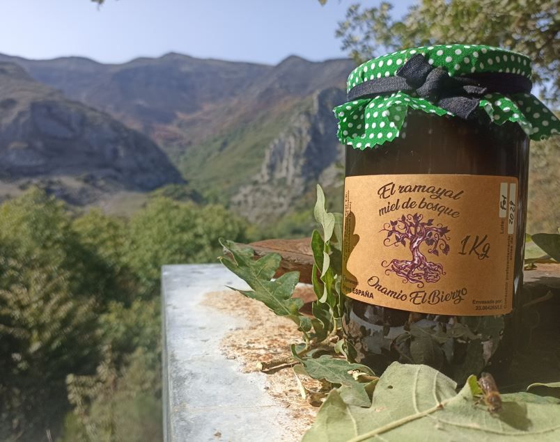 Miel de bosque 2024 de Apícola El Ramayal