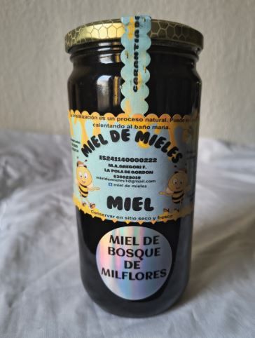 Miel de bosque 2024 de miel de Mieles