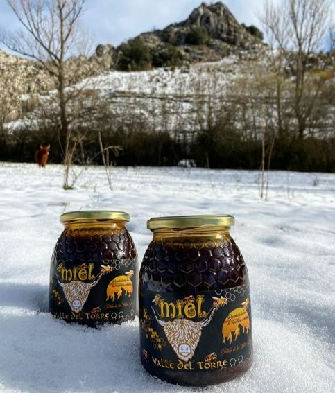 Miel de bosque 2024 de Miel Valle del Torre