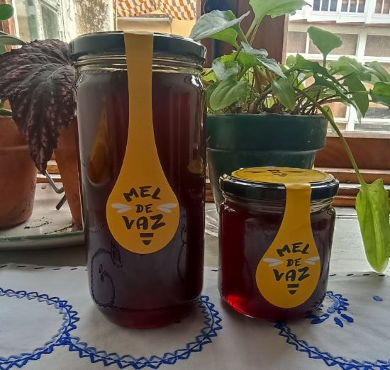 Miel de bosque 2024 con castaño de Mel de Vaz