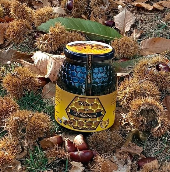 Miel de bosque con castaño de Miel de Valdetrigal
