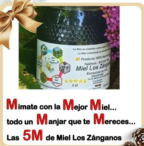 Miel de flores 2025 de Miel Los Zánganos