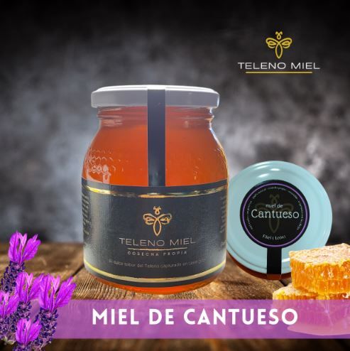Miel de cantueso 2025 de Teleno Miel