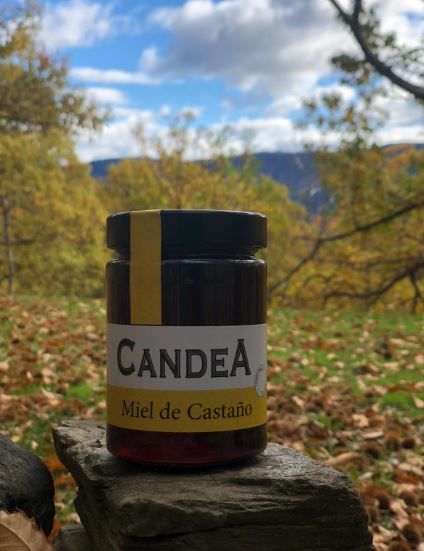 Miel de castaño 2025 de Miel Candea