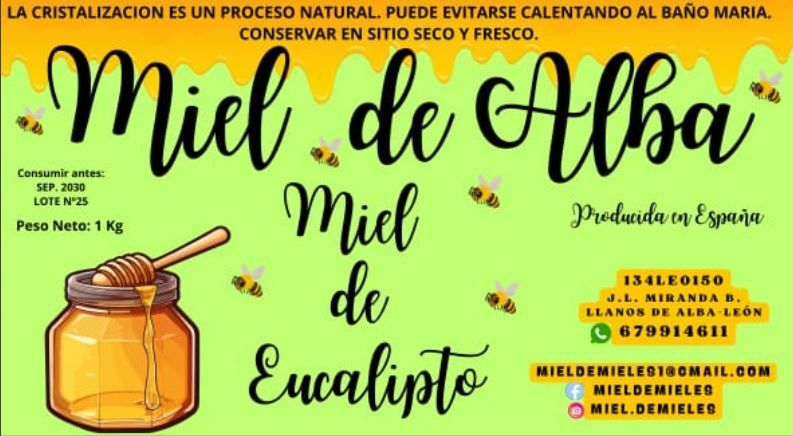 Miel de eucalipto 2025 de Miel de Alba