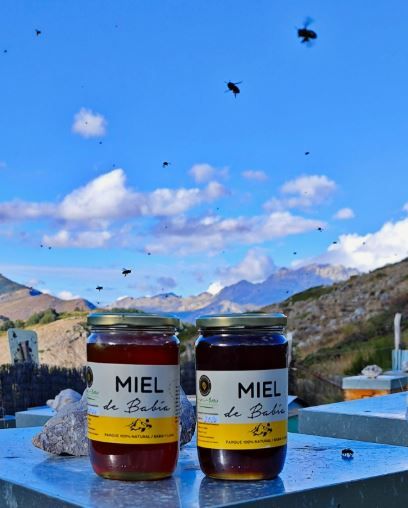 Miel de montaña 2025 de Miel de Babia