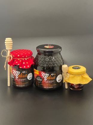 Miel de bosque 2025 de Melius
