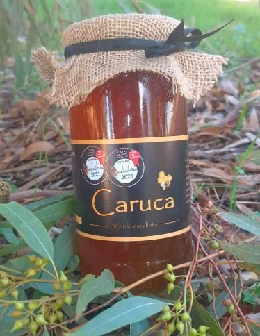 Miel de eucalipto de Miel Caruca